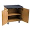 National Public Seating NPSMobile Sci Cabinet Blk Laminate Top MSC2436 - alternate 6